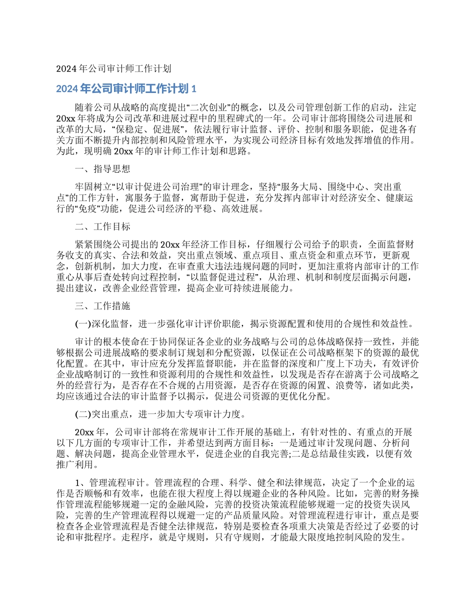 2024年公司审计师工作计划_第1页