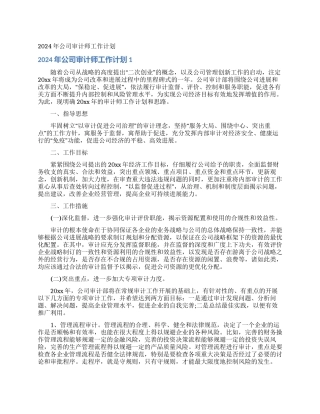 2024年公司审计师工作计划