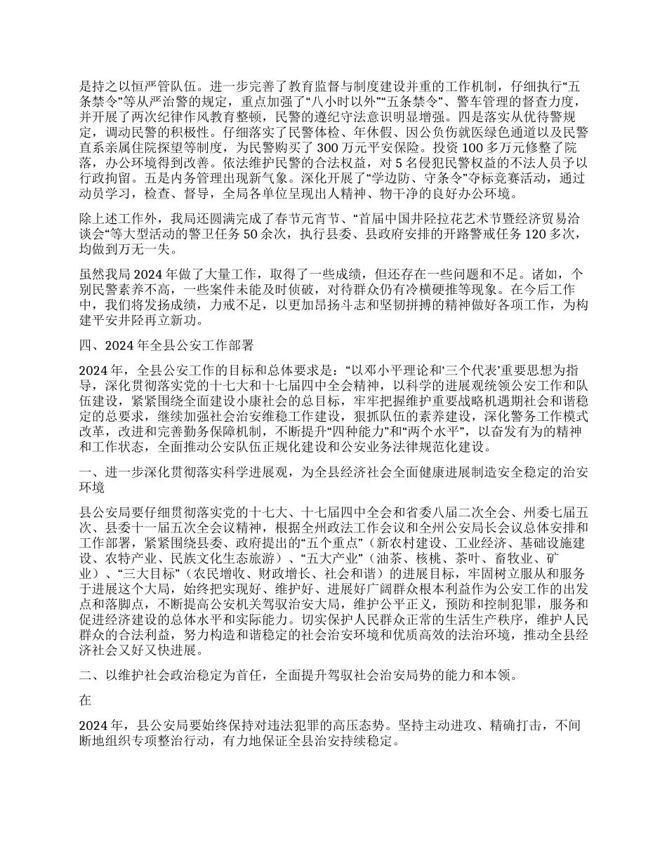 2024年公安工作总结_第2页