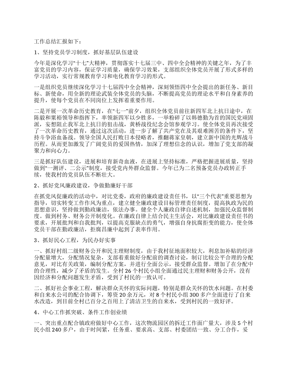 2024年农村党支部工作总结_第1页