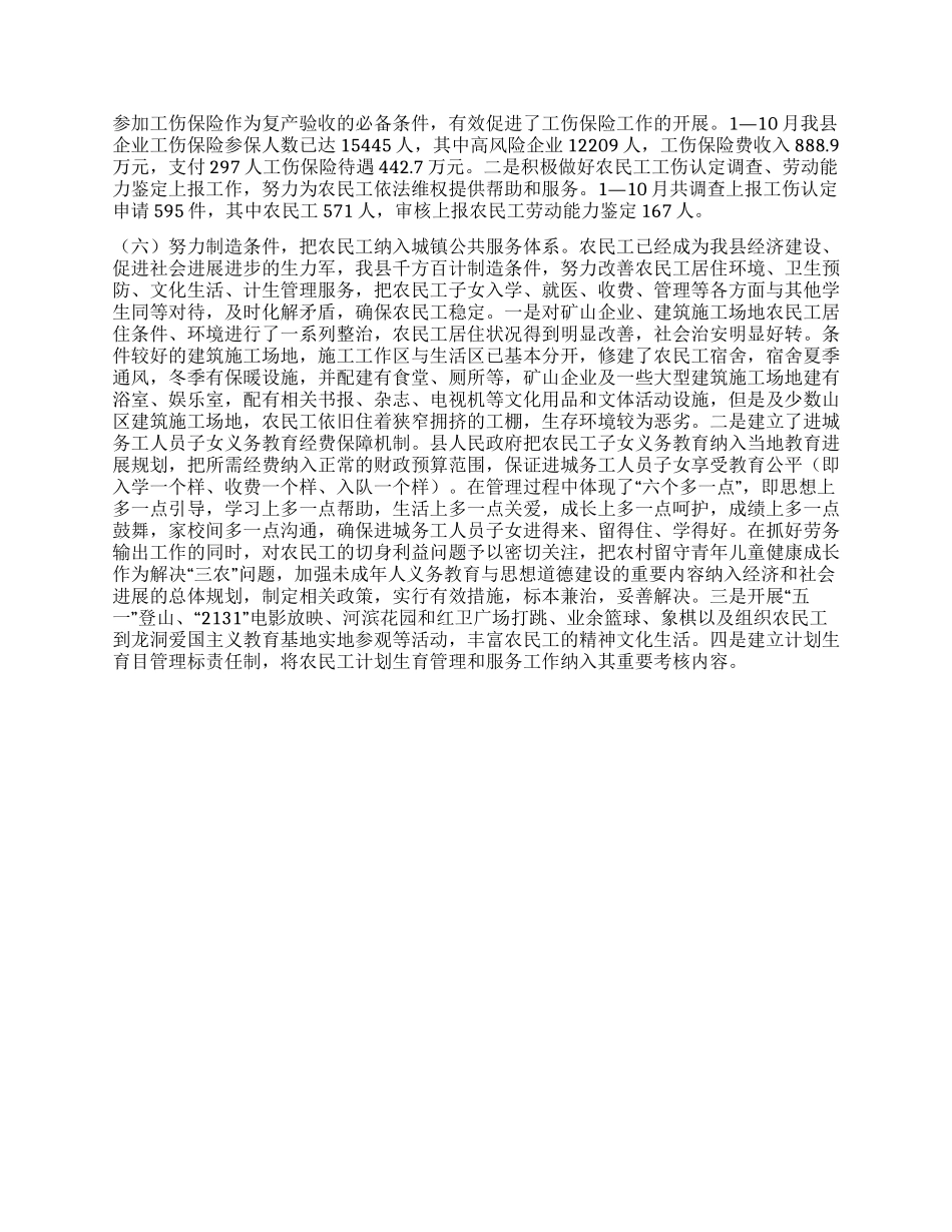 2024年农民工工作总结_第2页