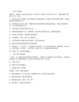 2024年出纳工作总结范文