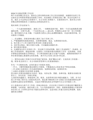 2024年出纳试用期工作总结