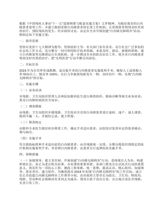 2024年创建无障碍市实施工作方案