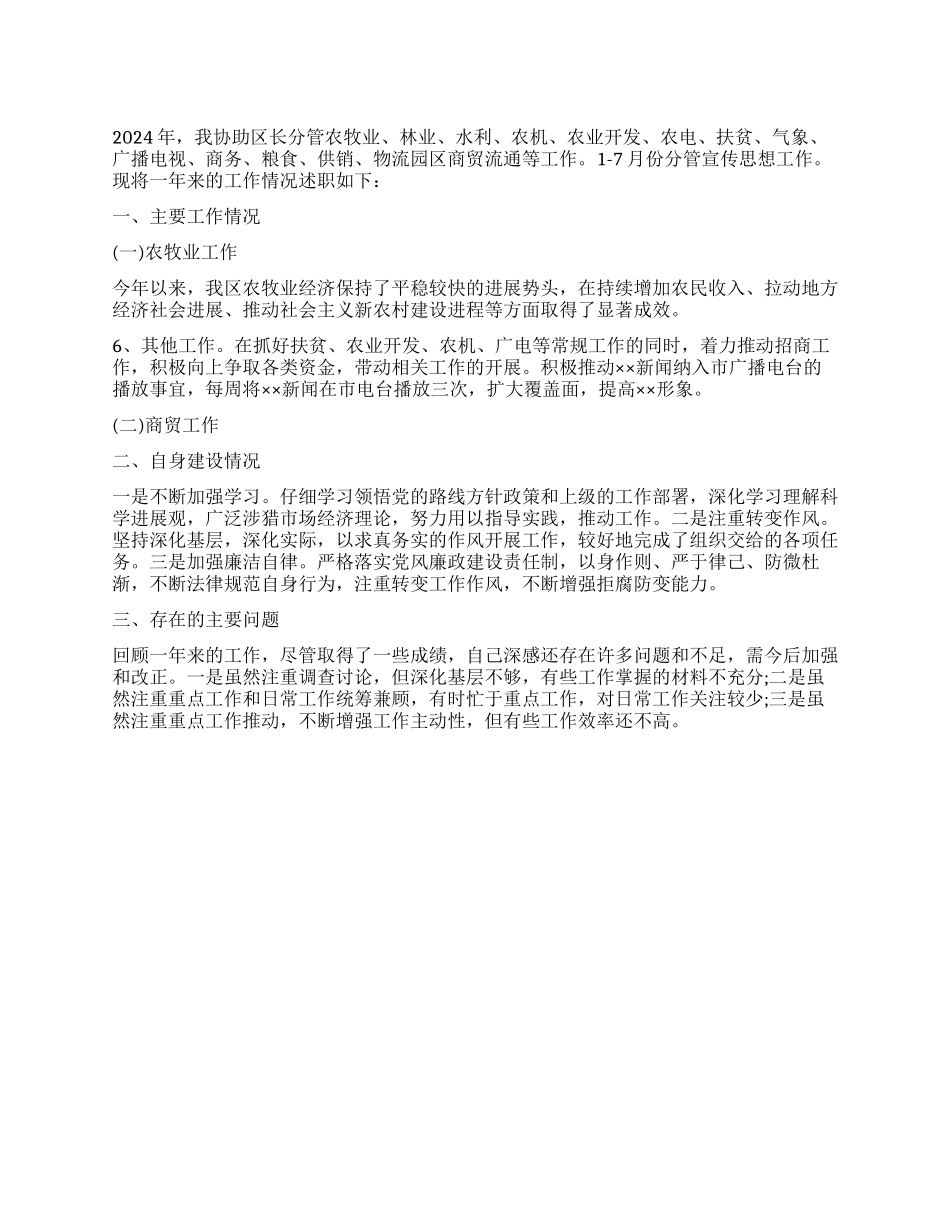 2024年副区长述职报告_第1页