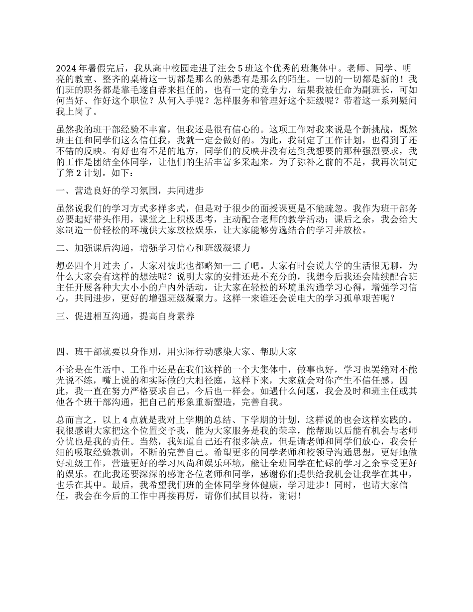 2024年副班长工作总结_第1页
