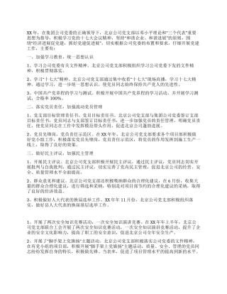 2024年北京公司党支部工作总结