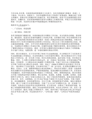 2024年区环境整治工作总结