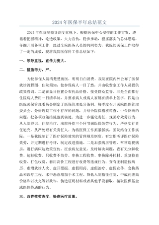 2024年医保半年总结范文