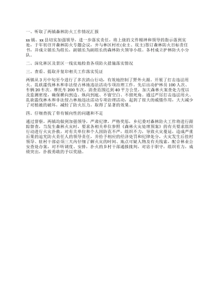 2024年单位森林防火督察情况工作报告