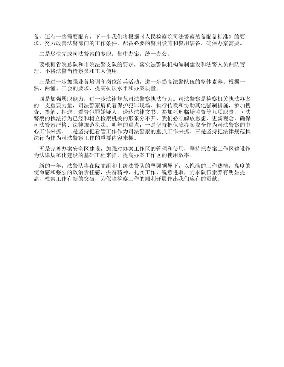 2024年县人民检察院法警大队工作总结_第2页