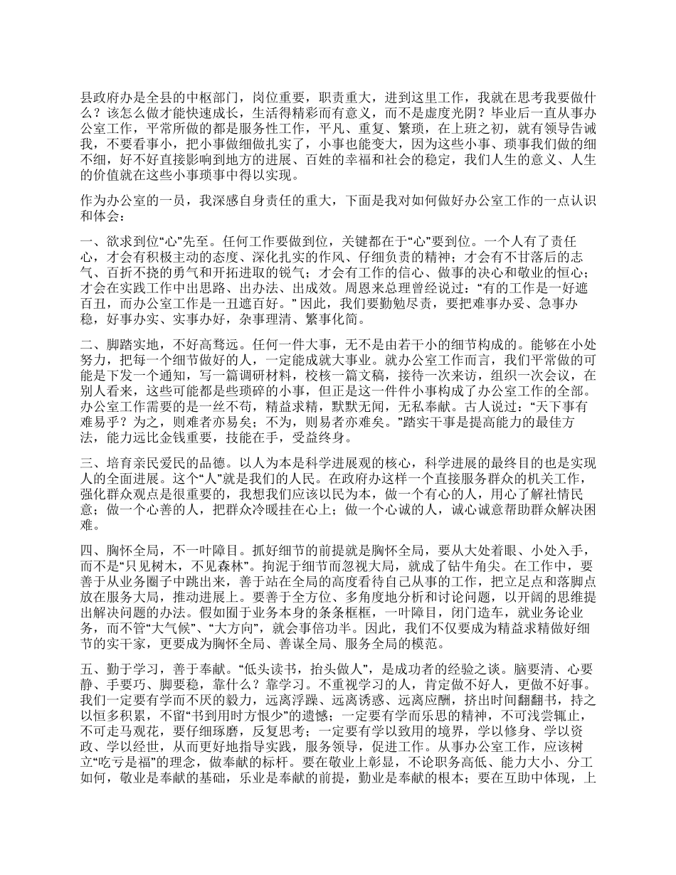 2024年县政府办公室秘书工作总结_第1页