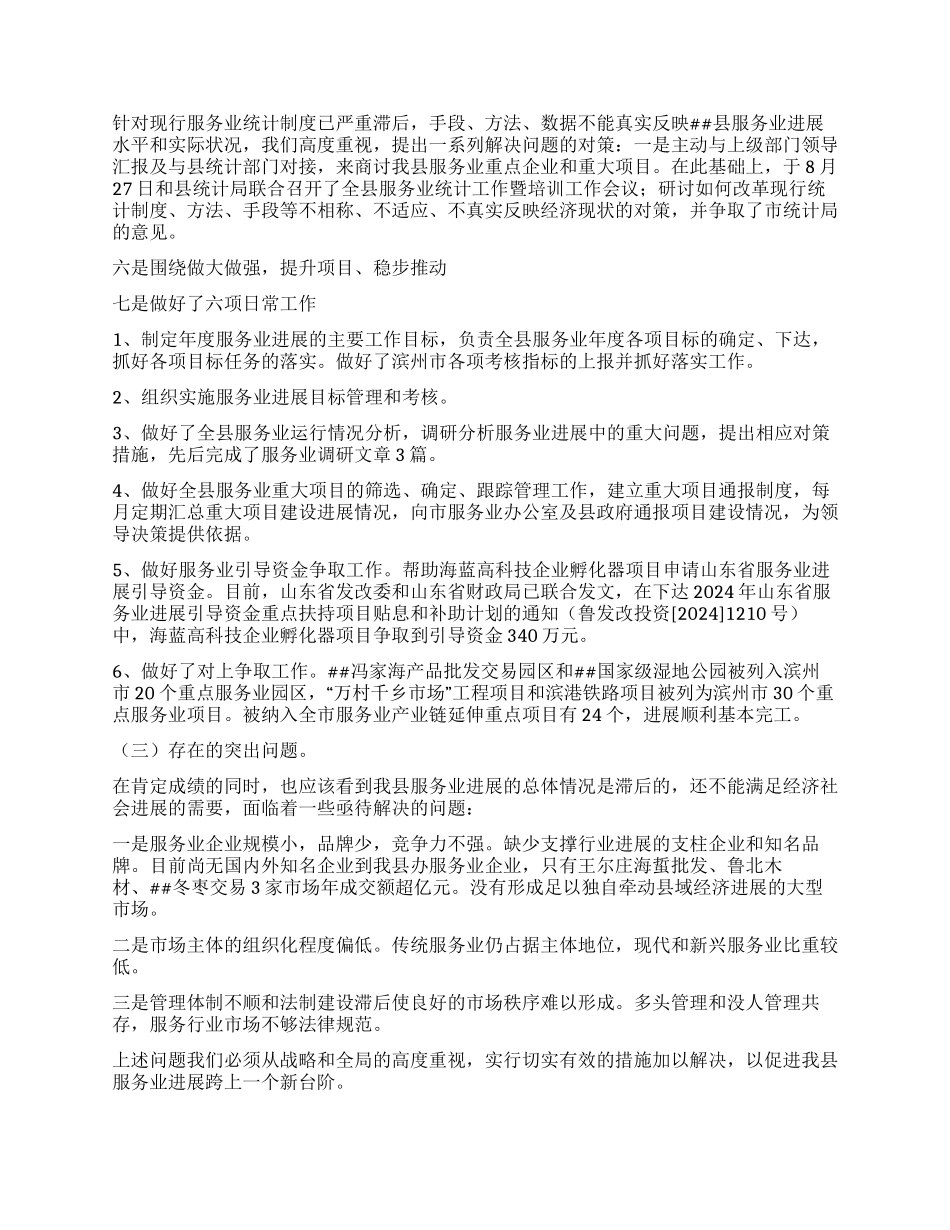 2024年县服务办工作总结及2024年工作思路_第2页