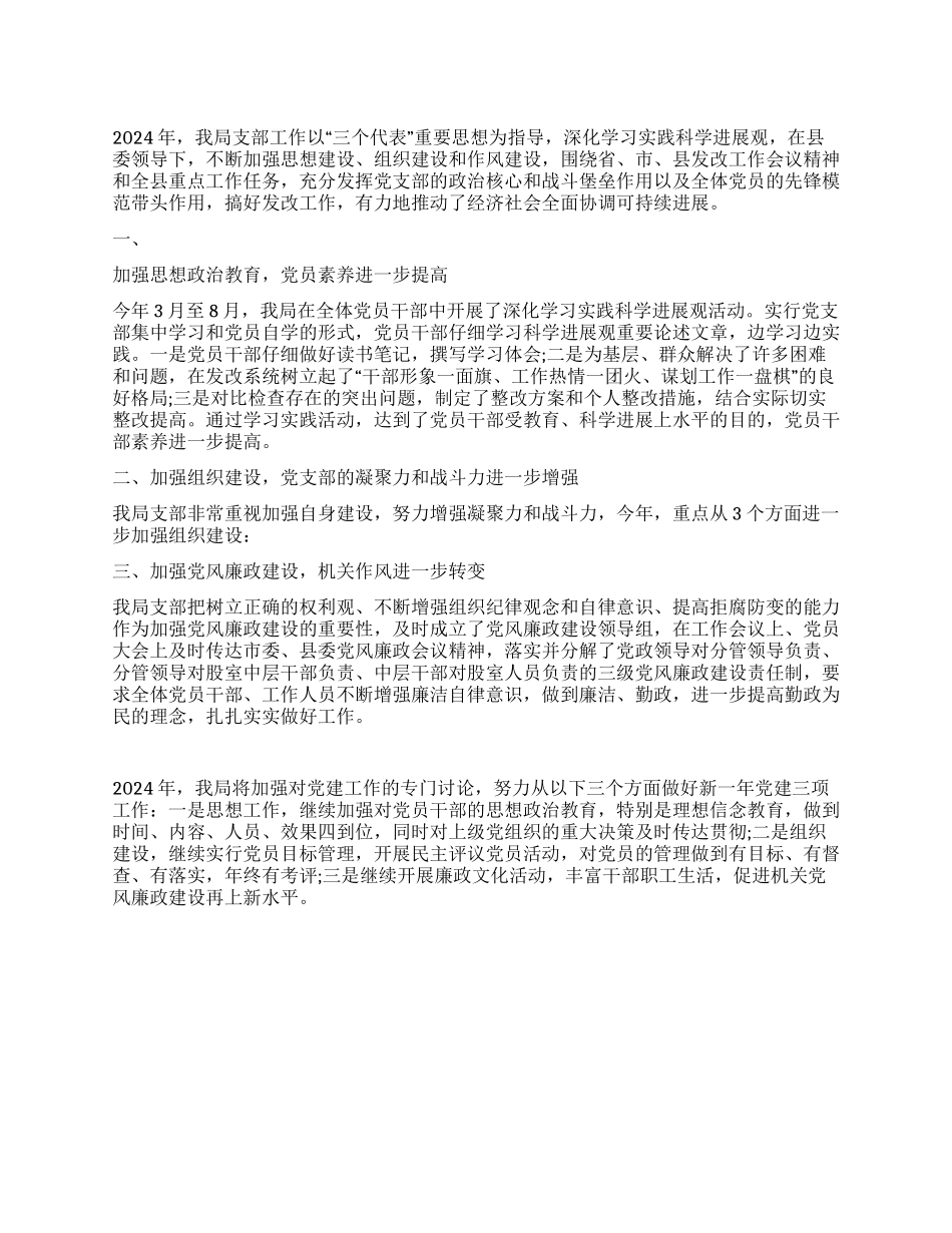 2024年发改局党支部工作总结_第1页