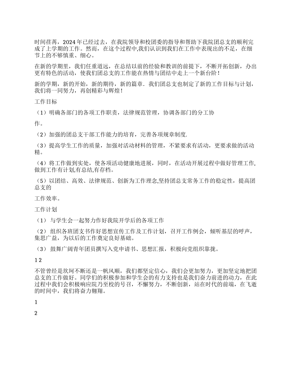 2024年团总支工作计划_第1页