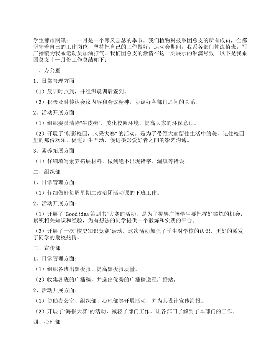 2024年团支部11月份工作总结_第1页