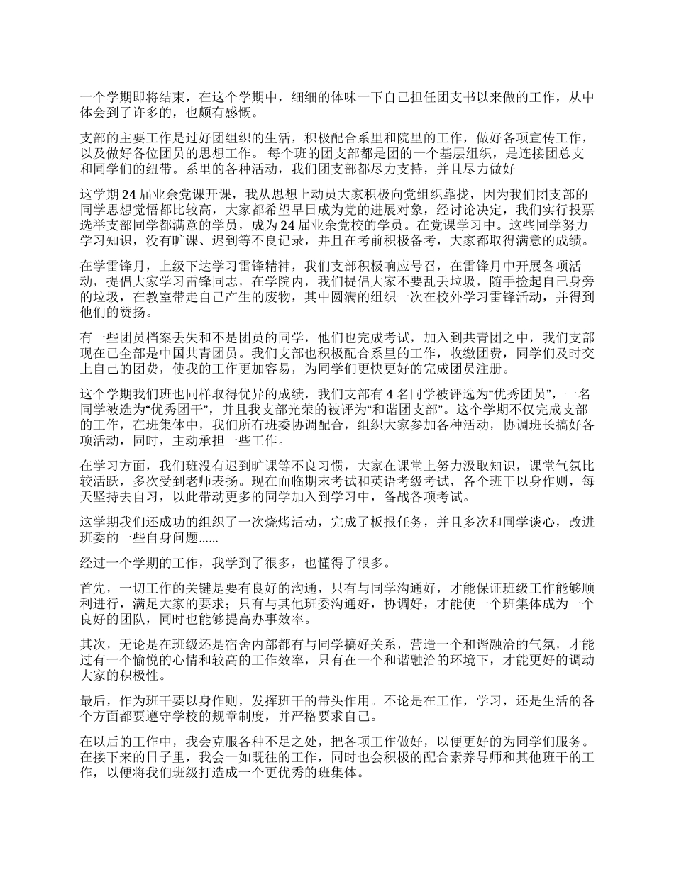 2024年团支书工作总结_第1页
