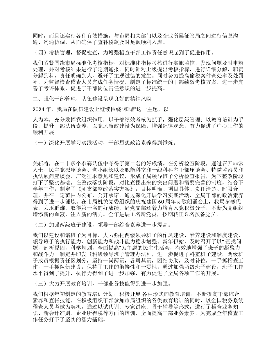 2024年国税稽查局工作总结及2024年工作安排_第2页