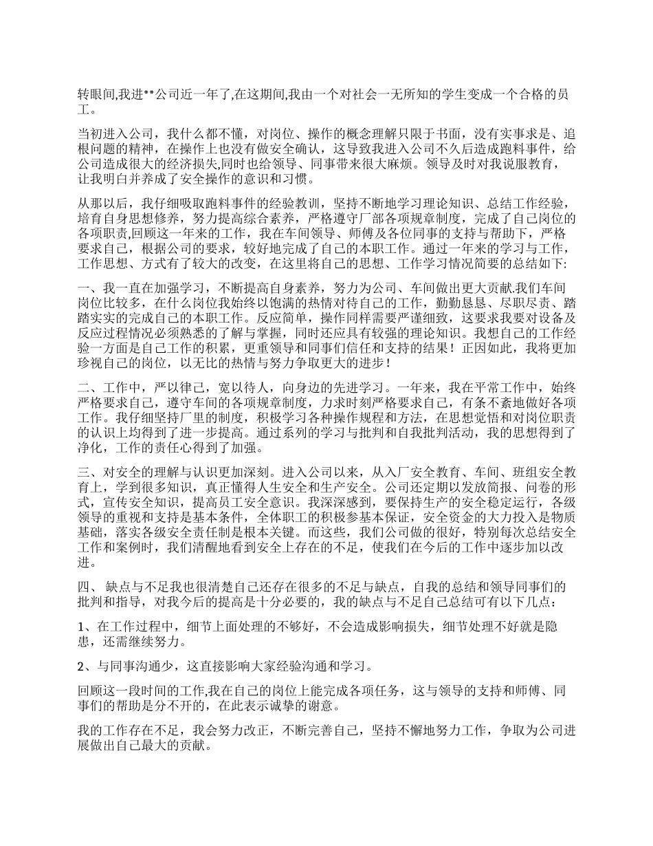 2024年在公司工作的个人总结_第1页