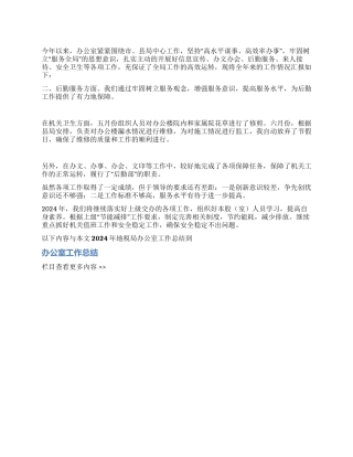 2024年地税局办公室工作总结