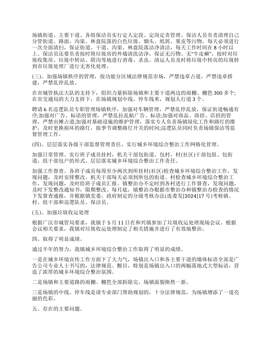 2024年城乡环境综合治理上半年工作总结_第2页