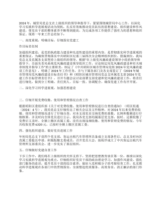 2024年城管局党建工作总结范文