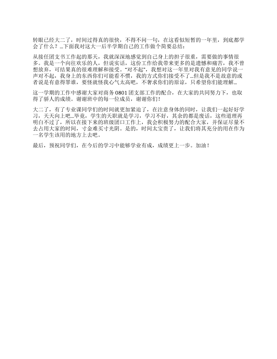 2024年大二团支书工作总结_第1页