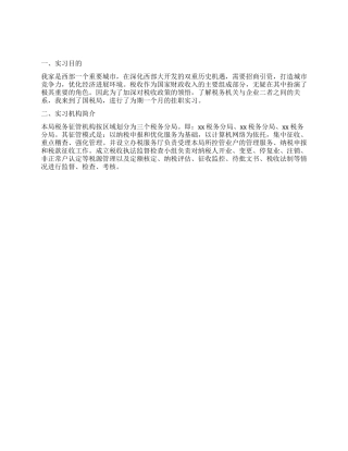 2024年大学生国税局的实习报告