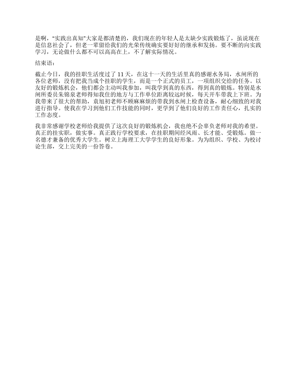 2024年大学生暑期挂职锻炼日记_第2页