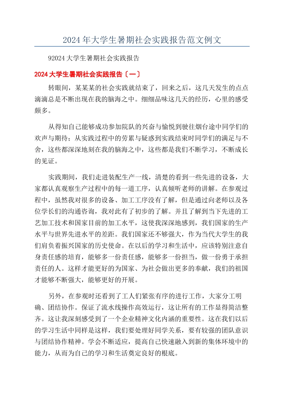 2024年大学生暑期社会实践报告范文例文_第1页
