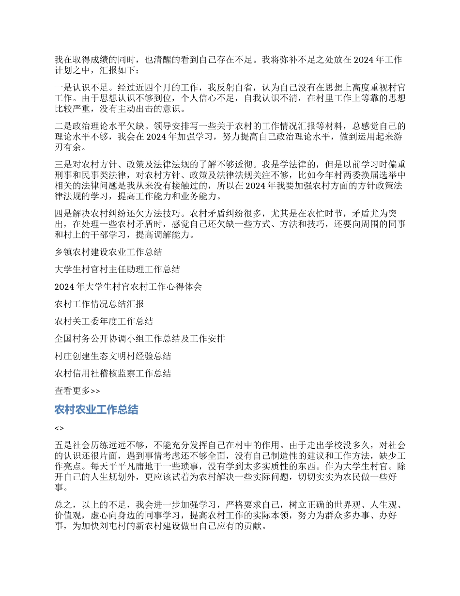 2024年大学生村官党支部书记助理工作总结_第2页