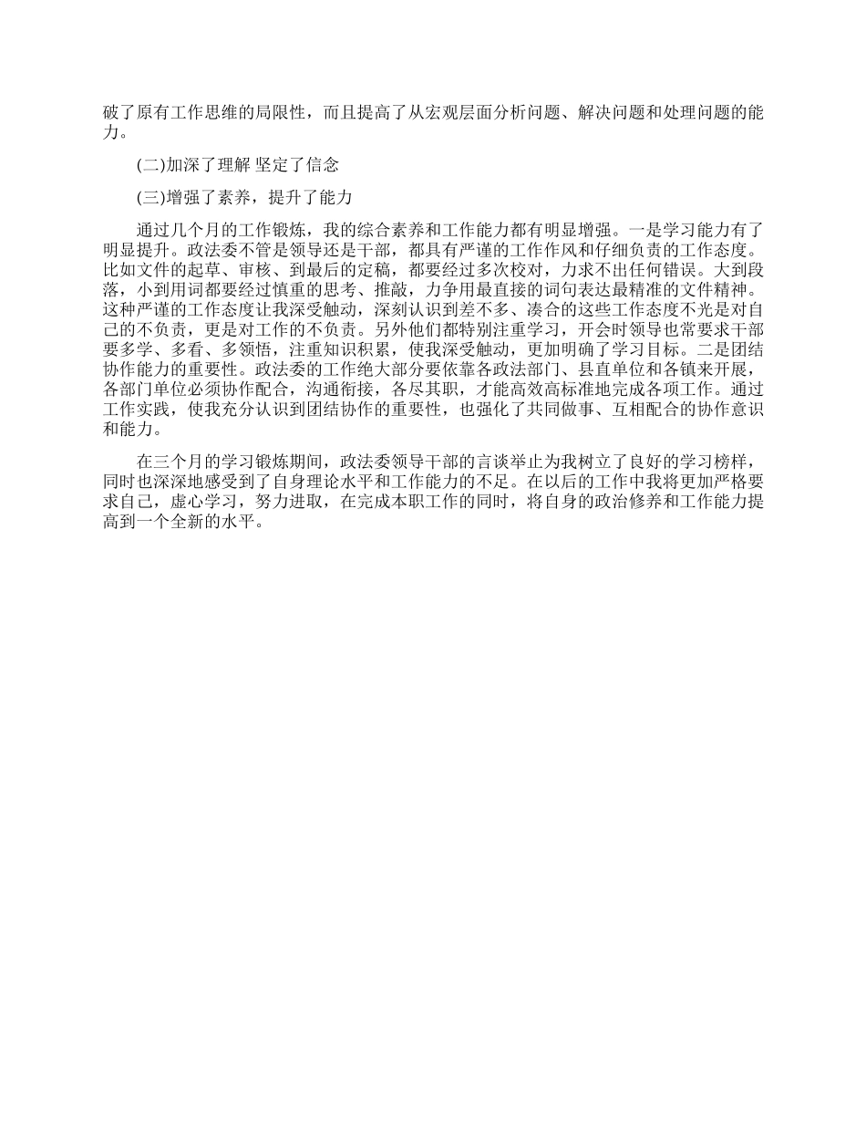 2024年大学生村官个人年终述职报告_第3页