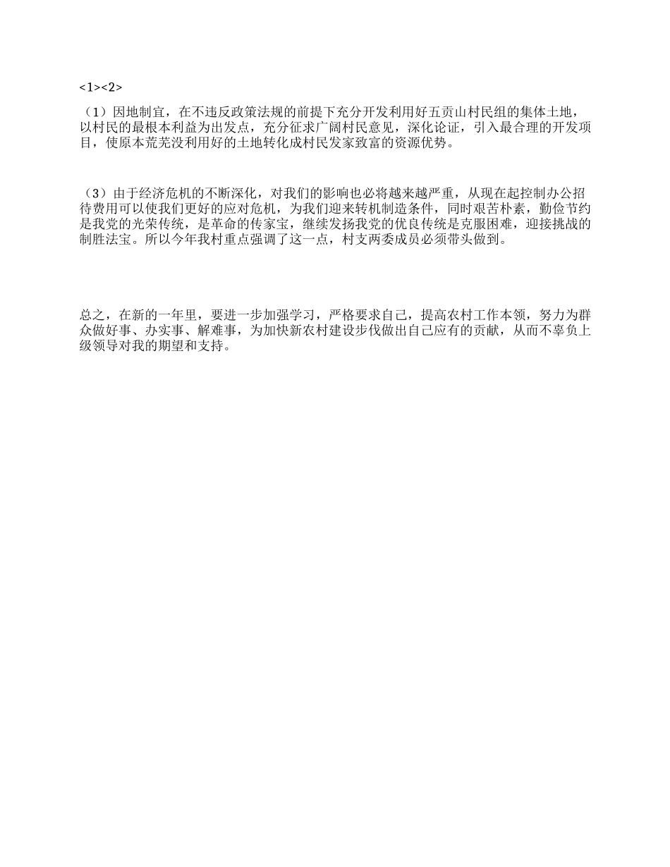 2024年大学生村官农村基层工作计划_第2页