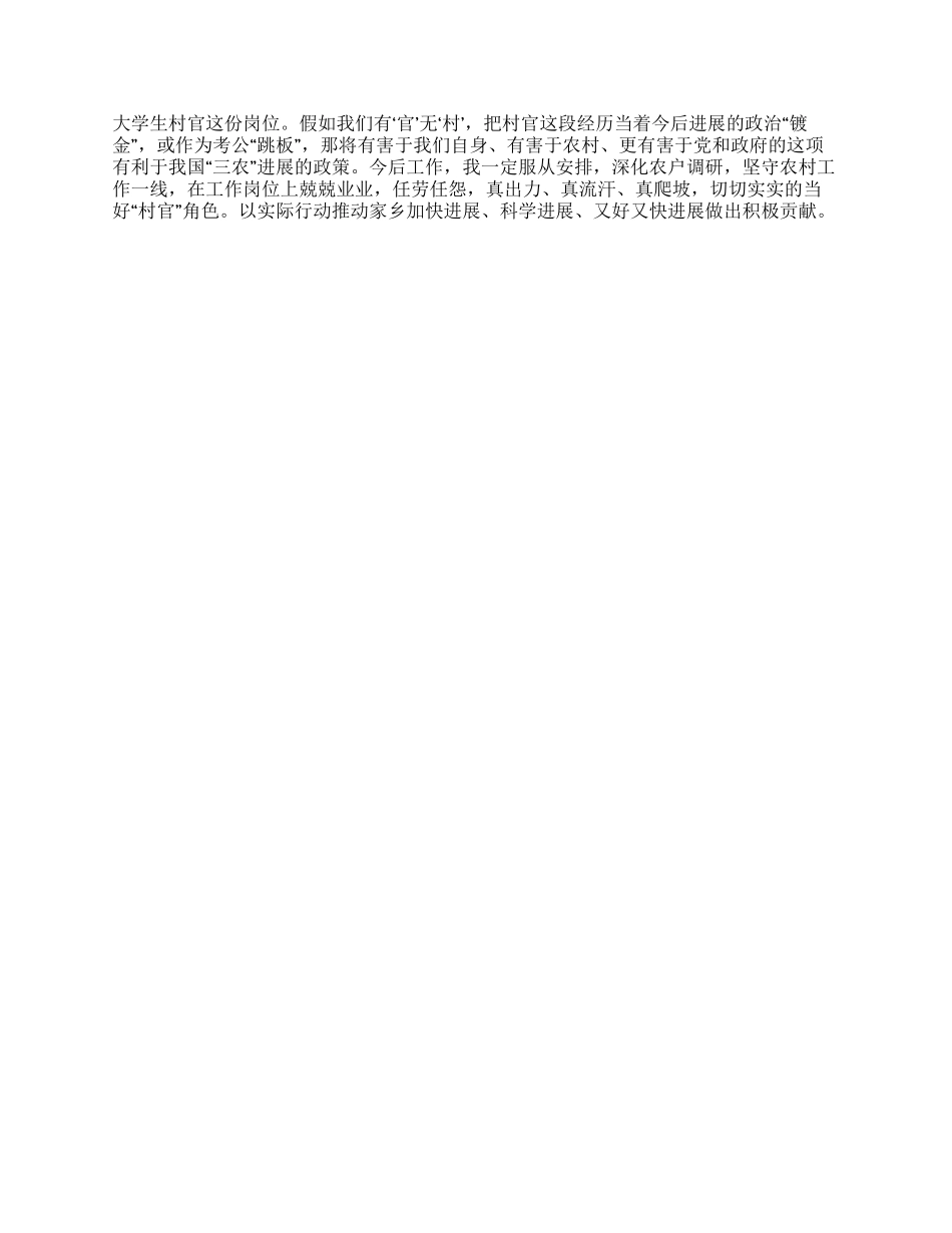 2024年大学生村官工作总结(范例)_第2页