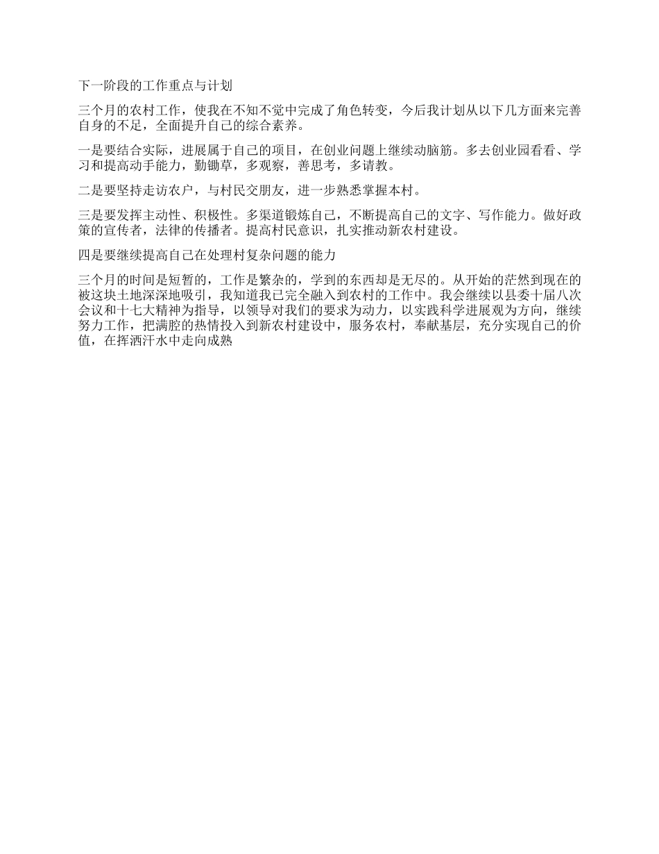 2024年大学生村官工作总结及下一步工作计划_第2页