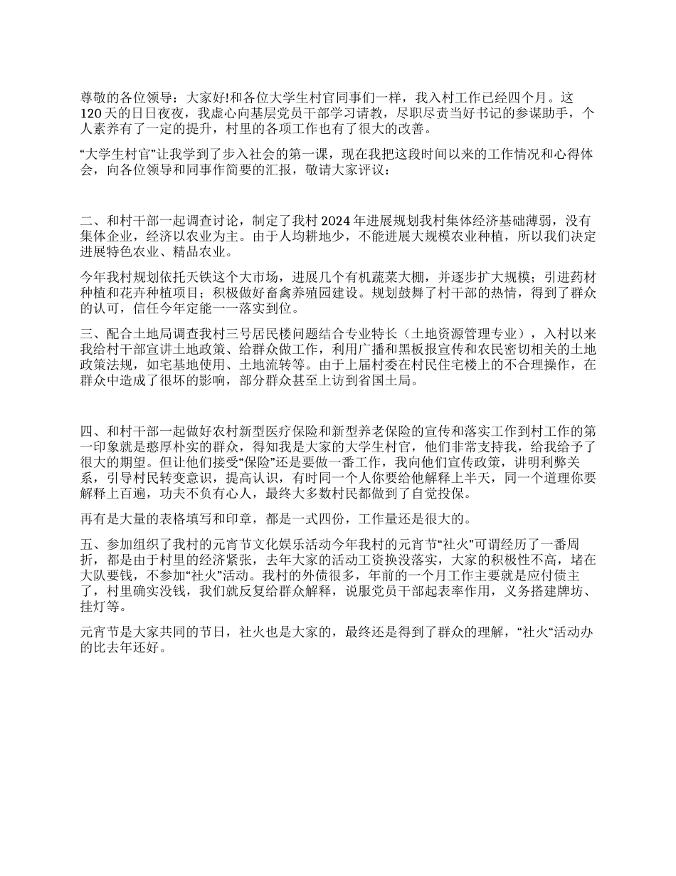 2024年大学生村官述职报告范文_第1页