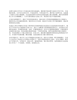 2024年大学生法院实践报告