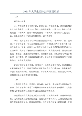 2024年大学生消防公开课观后感