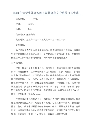 2024年大学生社会实践心得体会范文导购员打工实践