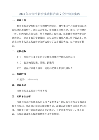 2024年大学生社会实践报告范文会计核算实践