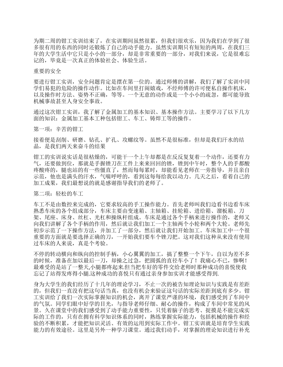 2024年大学生钳工实习报告_第1页