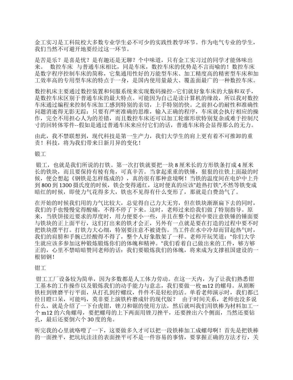 2024年大学生金工实习报告范文_第1页