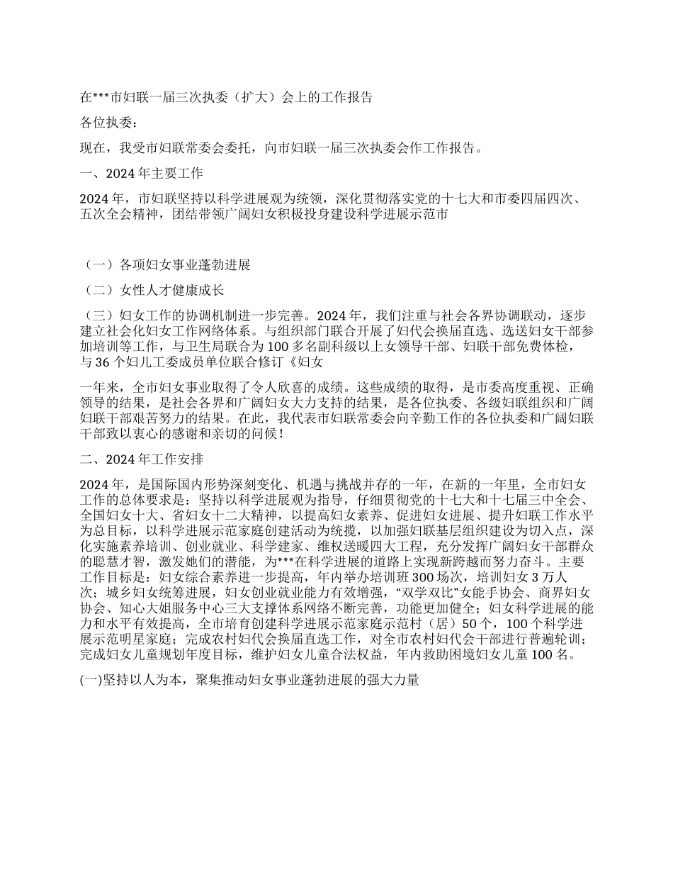 2024年妇联执委会工作报告_第1页