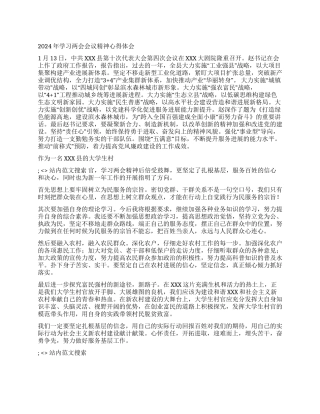 2024年学习两会会议精神心得体会