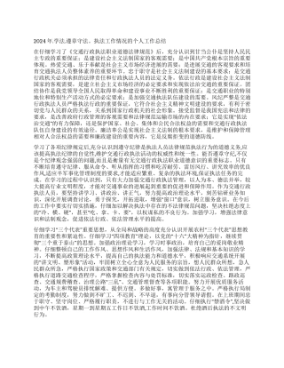2024年学法遵章守法执法工作情况的个人工作总结