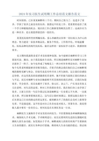 2024年实习医生试用期工作总结范文报告范文