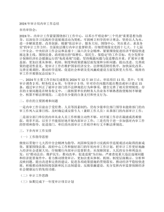 2024年审计局内审工作总结