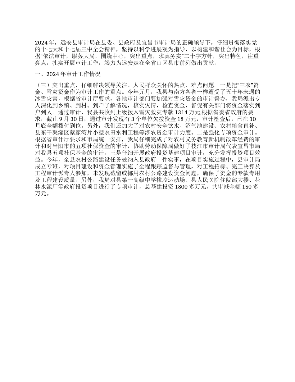 2024年审计局审计工作总结和工作计划_第1页