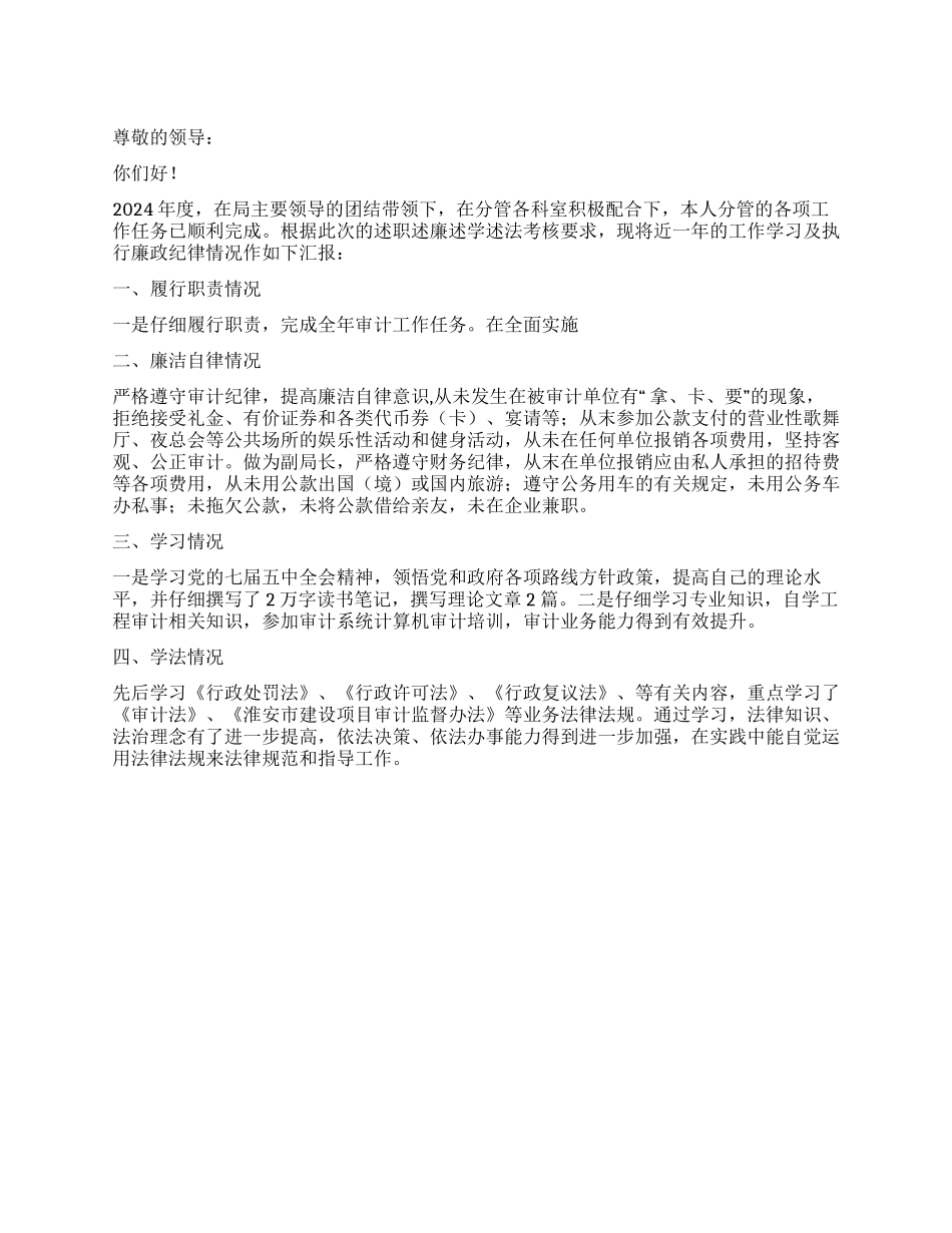 2024年审计局副局长个人述职报告_第1页