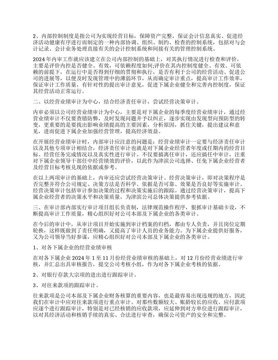 2024年审计工作总结与计划书_第2页